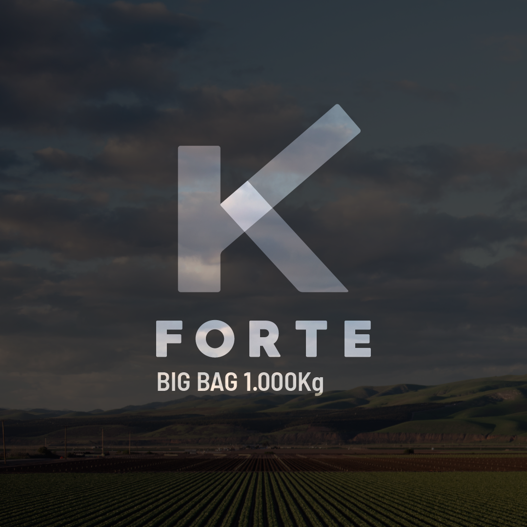 K Forte - Big bag